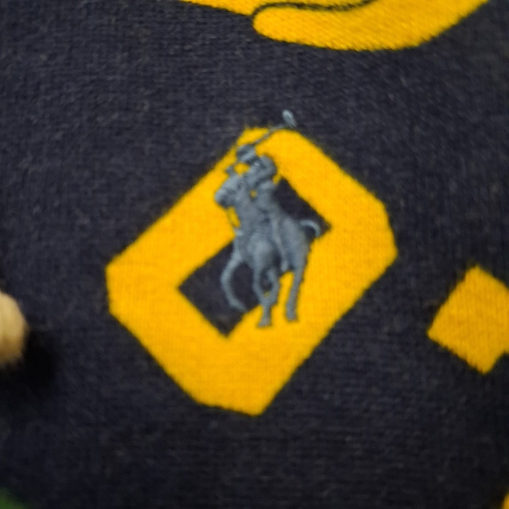 Ralph Lauren Polo Varsity Pennant Print Fleece Sportsman Sweatshirt Hoodie L - Picture 13 of 13